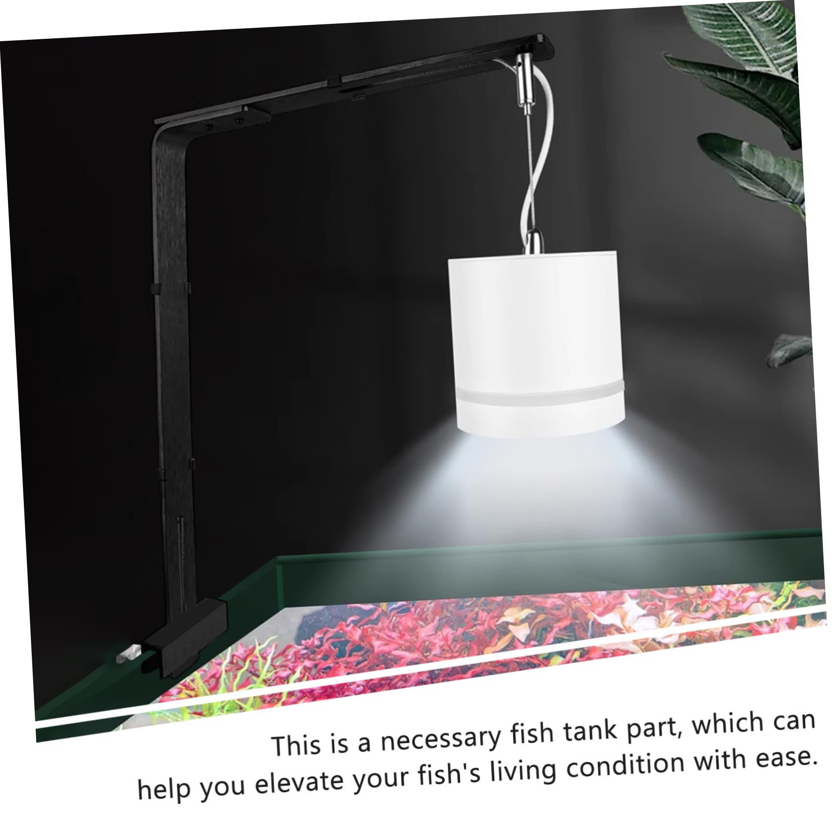 BESPORTBLE 4piezas Soporte De Luz Para Soporte Estable Para Iluminación De Peceras Instalación y Diseño Elegante Compatible Cristales