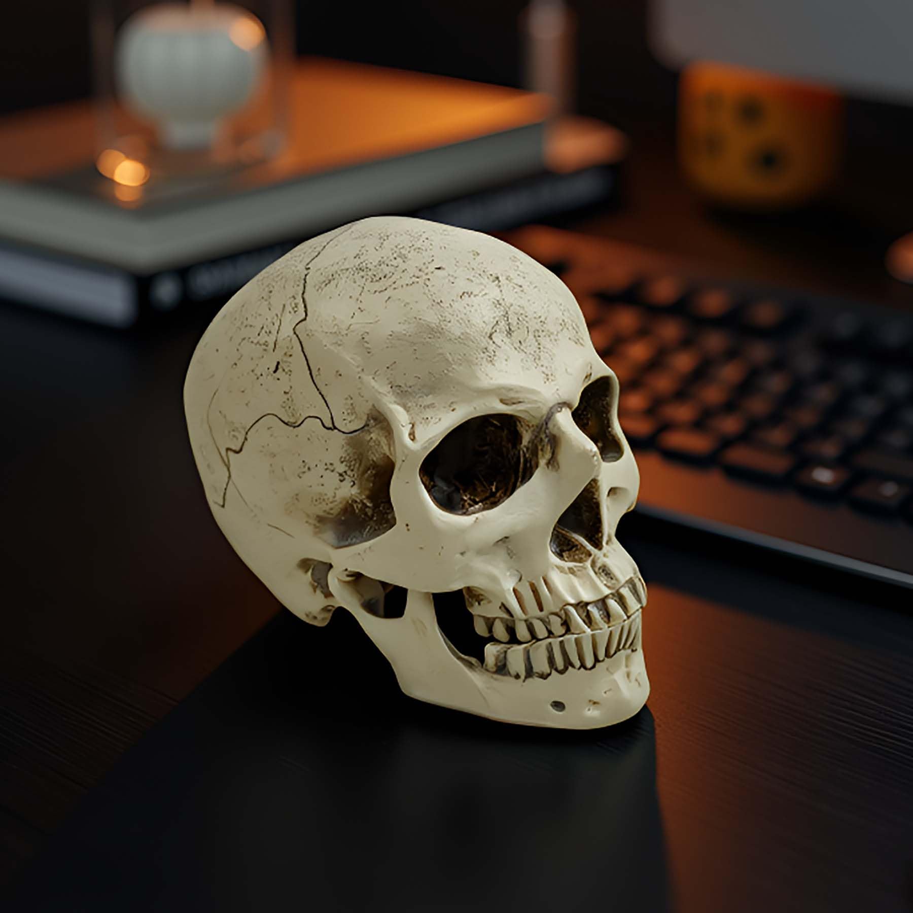 Buy Realistic Resin Human Skull Decor – Life-Size Halloween