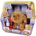 Little Live Pets Snuggles My Dream Puppy