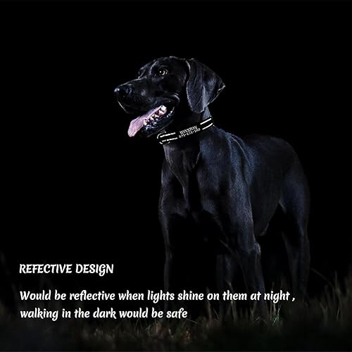 Miniatura 5 de Collares de perro personalizados personalizados con nombre de perro, número de teléfono, funda de soporte para Airtag, collar de nailon reflectante