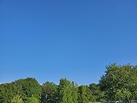 Review Image by BS BS