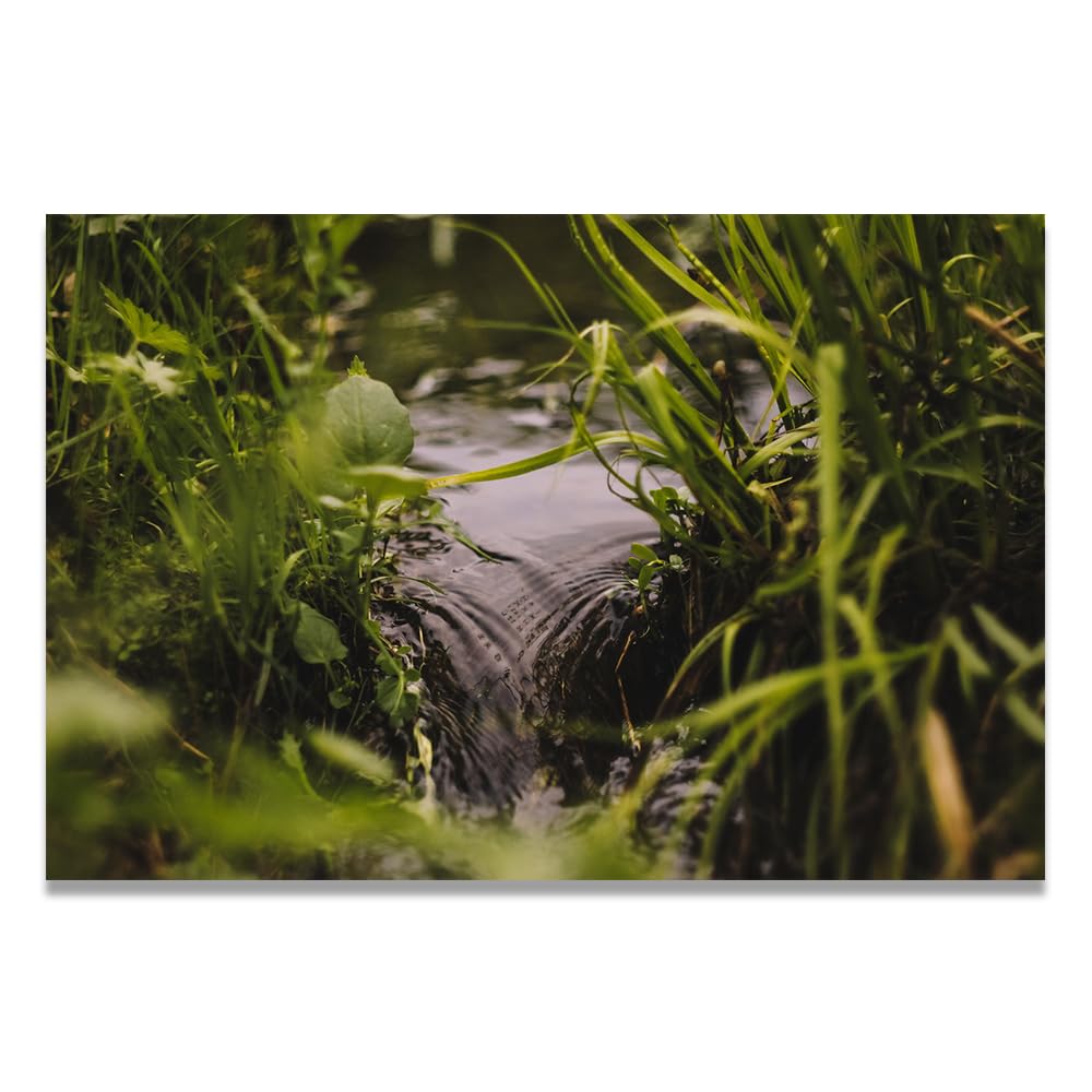 VHdfgTY Water In The GrassSerene Mountain Landscape Canvas Wall Art Nature Wall Decor for Home 50x75cm Unframed