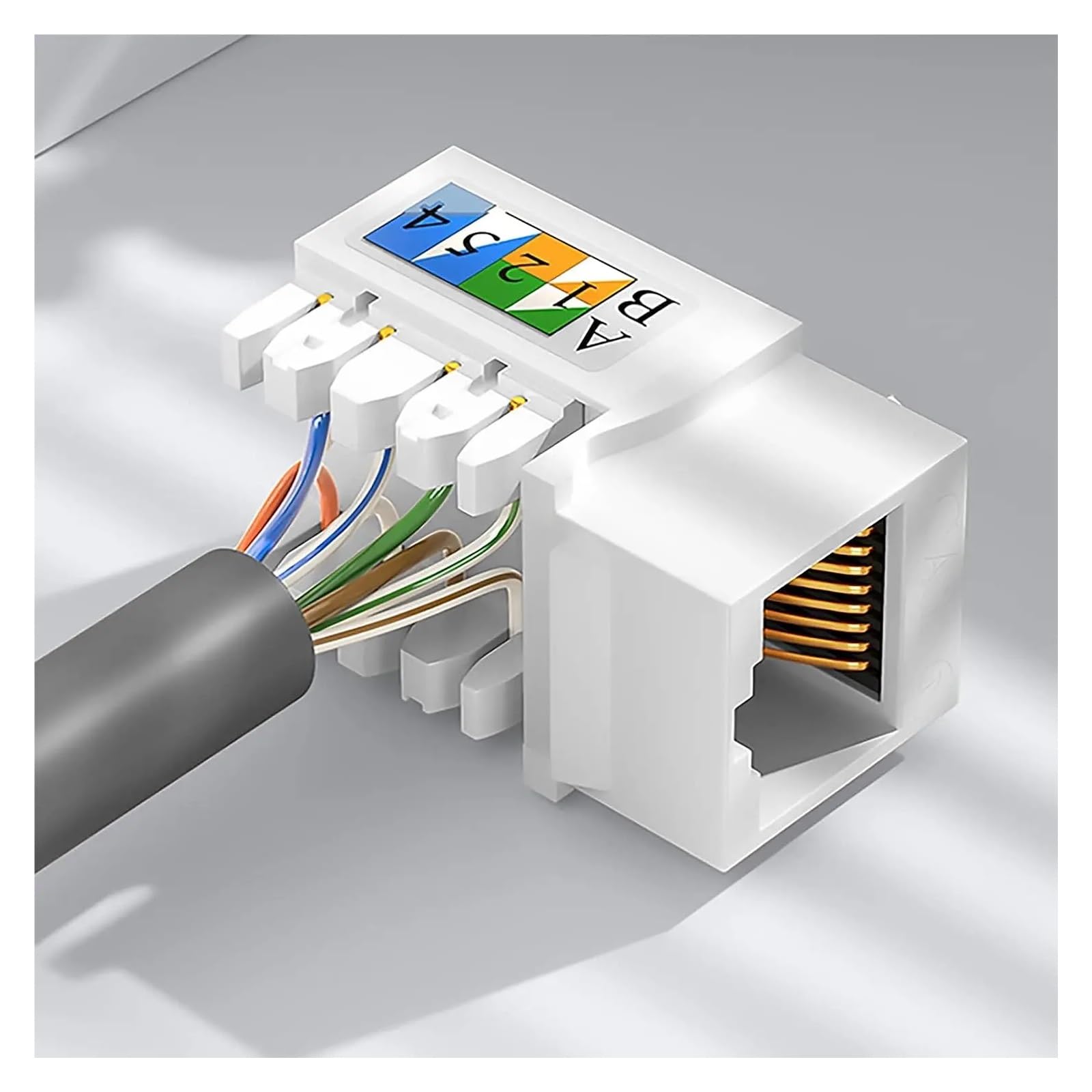 10 PCS, prise Keystone Cat6/5e, prise Keystone RJ45, coupleur réseau(CAT6 10PCS)