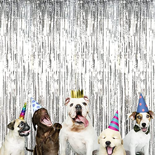 Goer 3.2 Ft X 9.8 Ft Metallic Tinsel Foil Fringe Curtains Party Photo Backdrop Party Streamers For Birthday,Graduation,New Year Eve Decorations Wedding Decor (Silver,1 Pack) #TOP2