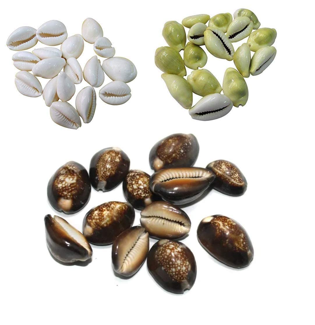See full amazon price history chart for Pmw - Yellow White and Black Cowrie Combo - Each 11 Pieces - Total 33 Pmw - Yellow White and Black Cowrie Combo - Each 11 Pieces - Total 33 (B09P3QBRF3) Amazon Price History, Amazon Price Tracker