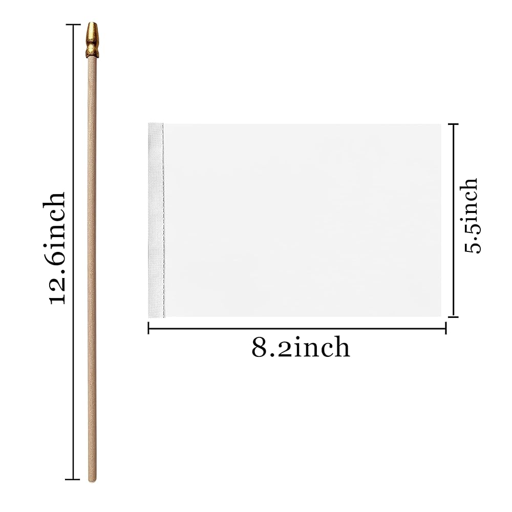 LOT DE 10 Drapeaux Palestiniens Portatifs 20 X 28 Cm Parfait Pour Une Utilisatio EUR 10,91