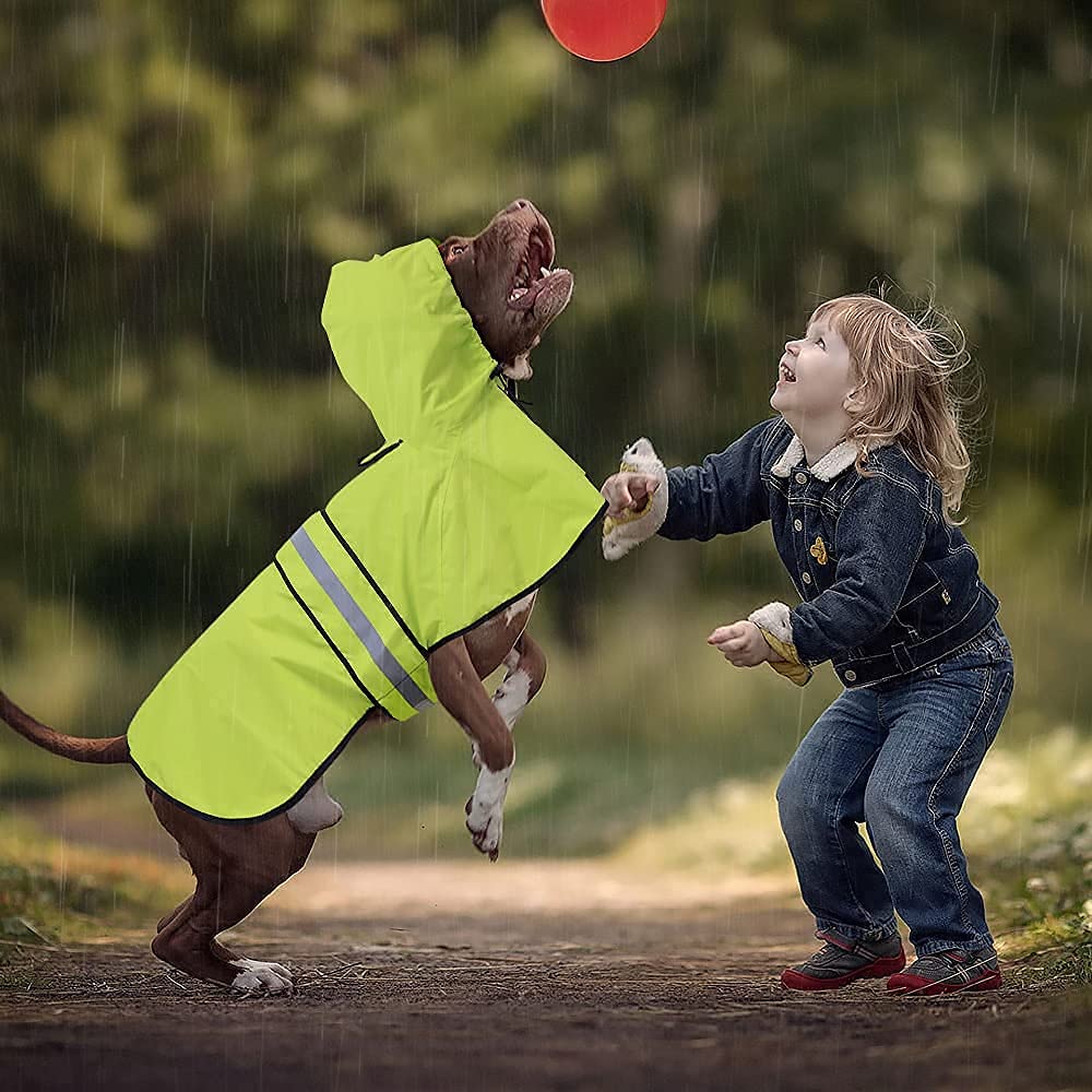 Chubasqueros reflectantes impermeables para perros, chaqueta de lluvia ajustable con capucha para perro, poncho ligero para perros (verde neón, mediano)