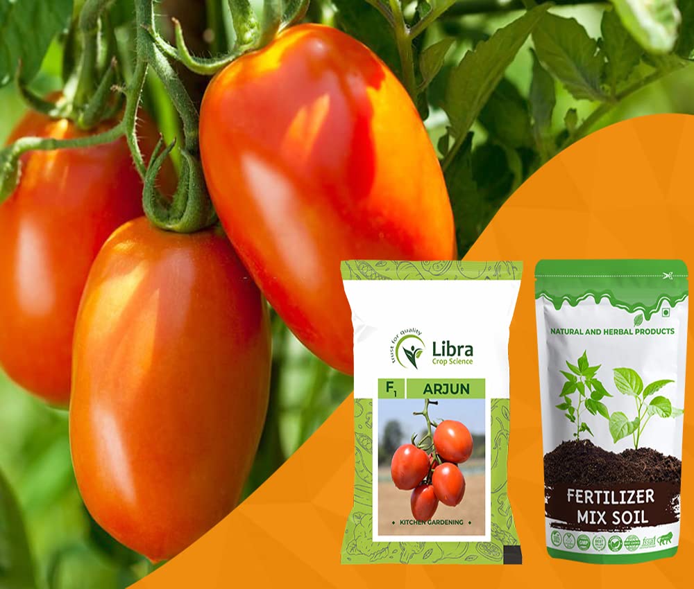 Tomato Seeds for Home Garden | Farming | Vegetable | Hybrid | Kitchen | Planting | Terrace | Balcony | Eating | Solanum Lycopersicum | Tameta | Tamatar | Long - 0.05 Gram : 163 Seed (ARJUN) (B0B2WQKMXS) Amazon Price History, Amazon Price Tracker