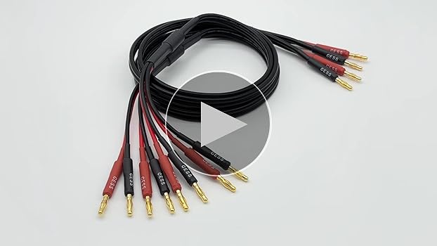 Amazon.com: CESS-106-3f Bi-Wire Banana Plug Splitter Speaker Amazon.com: CESS-106-3f Bi-Wire Banana Plug Splitter Speaker