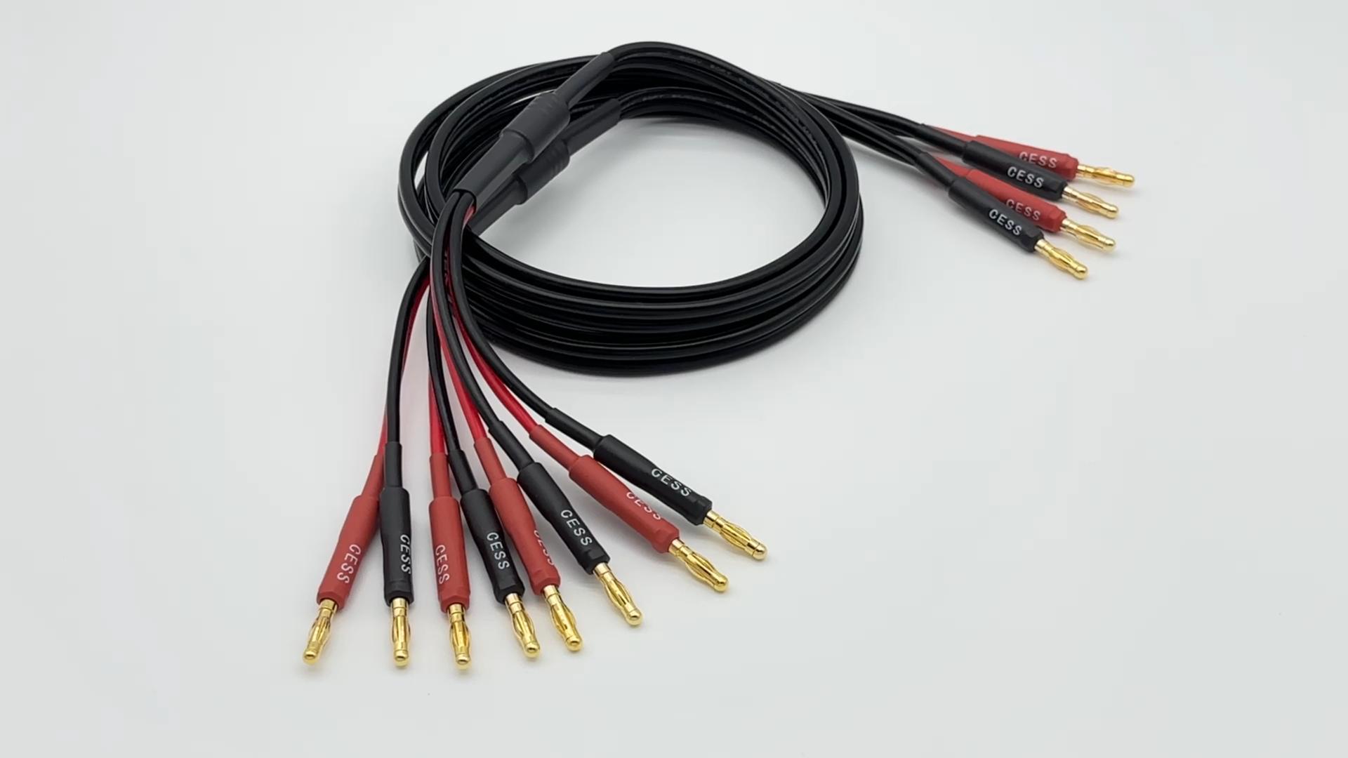 Amazon.com: CNCESS CESS-106-3f Bi-Wire Banana Plug Splitter