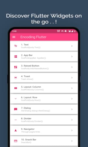 Encoding Flutter