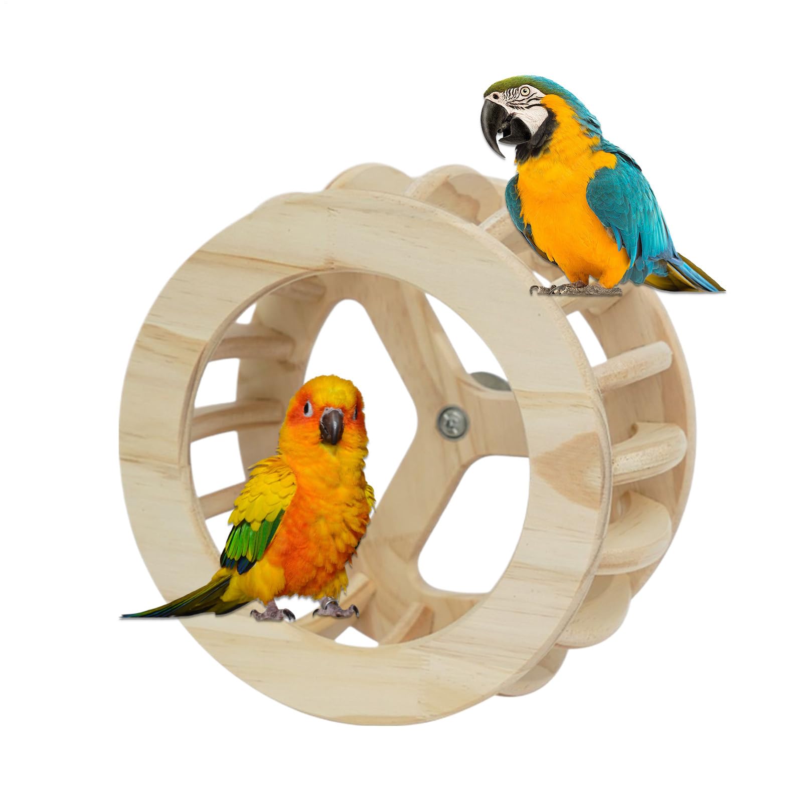 Perchoirs Pour Oiseaux Enrichissement Intellectuel En Bois