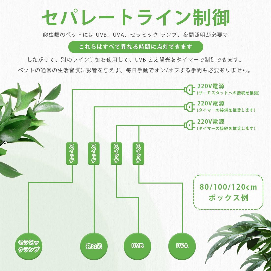 Amazon | 爬虫類 ケージ レオパ ケージ 60x40x40cm 木製飼育ケージ