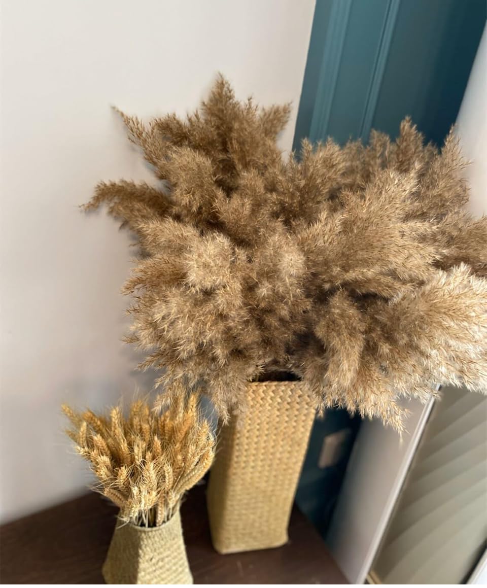 Natural Dried Pampas Grass Stems, 61 cm, Brown, Set of 6-image-17