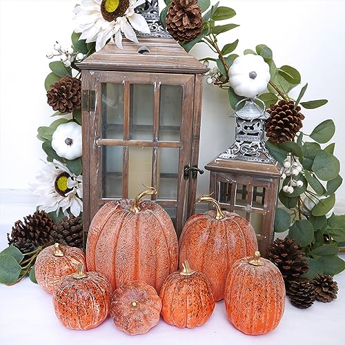 Image of Winlyn 7 Pcs Assorted Orange and Black Artificial Pumpkins Harvest Decorative Pumpkins for Rustic Farmhouse Fall Wedding Thanksgiving Halloween Table Centerpiece Mantel Shelf Seasonal Decor