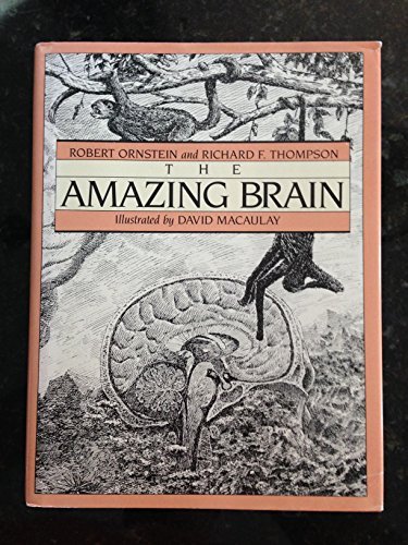 The Amazing Brain by Robert E. Ornstein (1984-1... B01K2QG1JU Book Cover