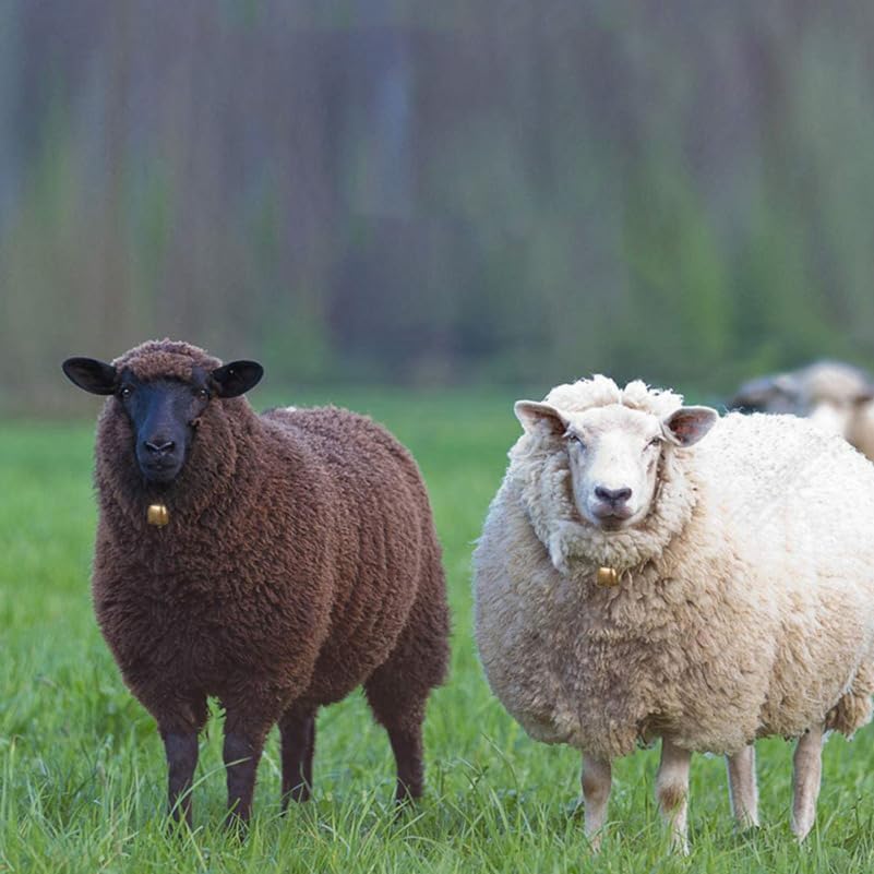Miniatura 5 de 1 collar de perro, campanas de hierro para vaca, hacedores de ruido, perro de campo, vaca, oveja, ganado, campana con correa de botón de cuero,