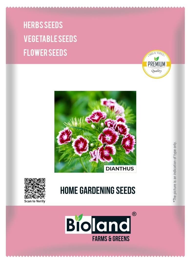 BIOLAND Dianthus Flower Seeds (Phool ke Beej) for Home/Terrace Garden | Winter Blooming Flower Seeds (B0B4W67W8C) Amazon Price History, Amazon Price Tracker
