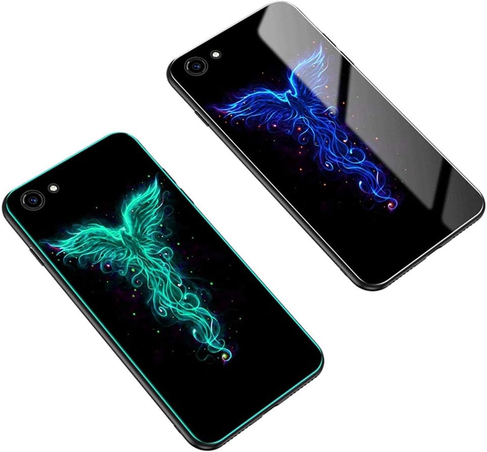 Telecamera per uccelli