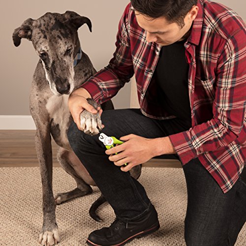 BISSELL-Cat-Dog-Nail-Clippers-Trimmer-with-Safety-Guard-and-File-for-Large-and-Small-Animal-Grooming-2055A