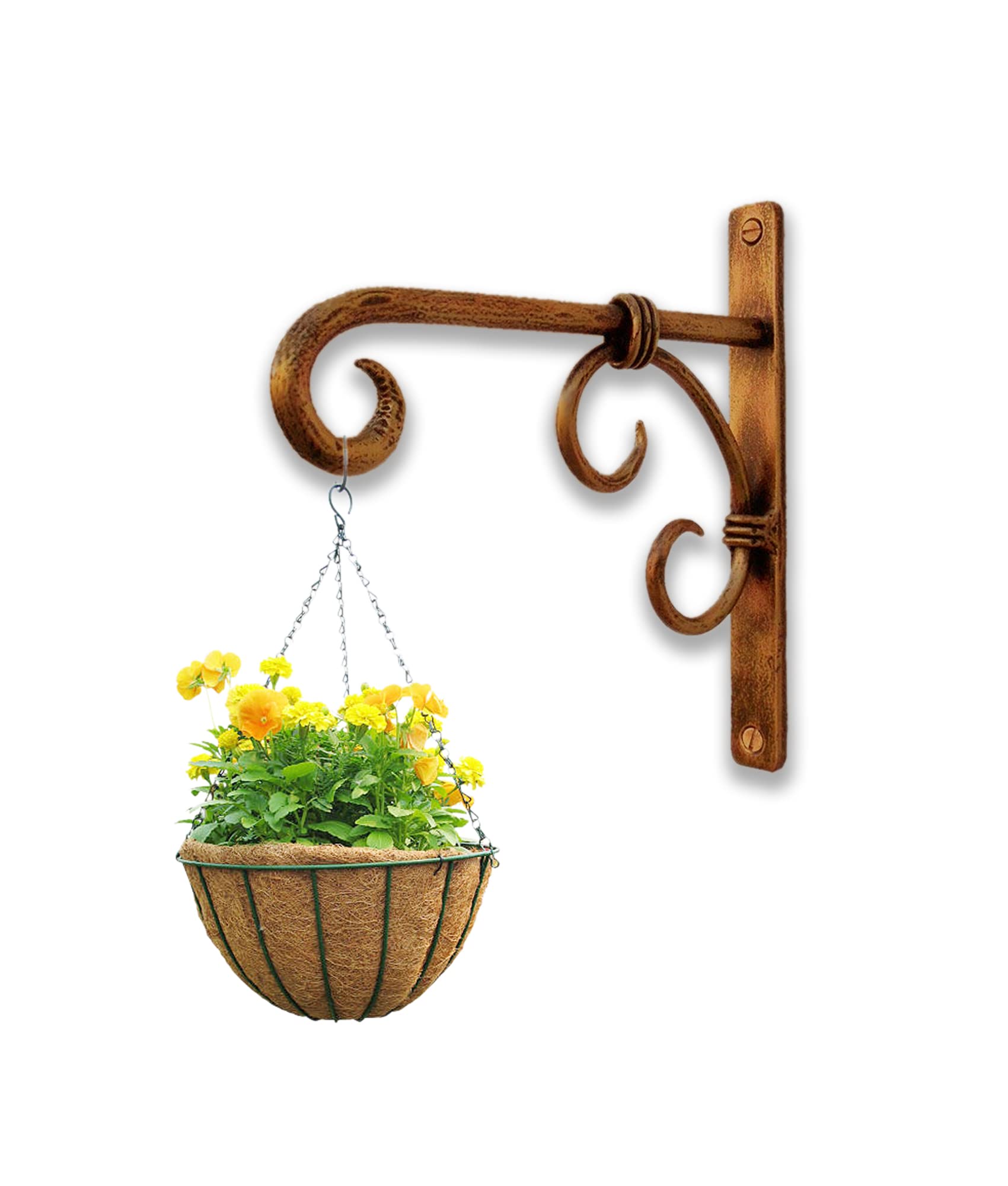 Woodiva Decorative Wall Shelf Brackets – Heavy-Duty Metal Wall Mounts for Shelves, Hanging Plants, Lanterns & Curtain Rods – Rustic Bronze Scroll Design, Indoor & Outdoor Use (Golden-J, Pack of 1) (B099PWTJPH) Amazon Price History, Amazon Price Tracker