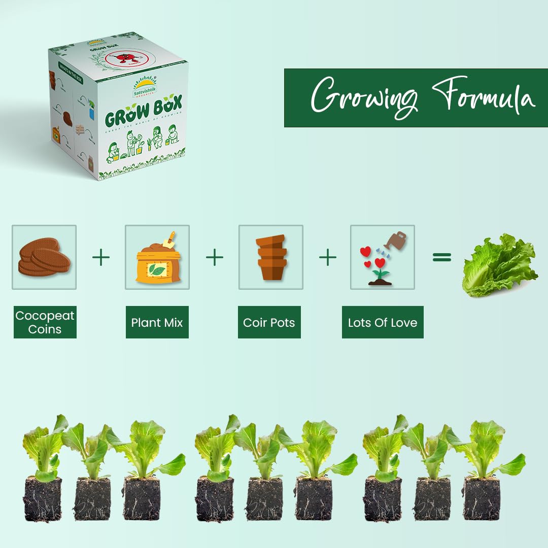 Sattvishtik Grow Box Lettuce Vegetable Kit for Kids | Pack of 1 | Eco Friendly Gift for Kids | Beginner Gardeners | DIY | Easy Grow it Yourself Gardening Kit for Home & Garden 1