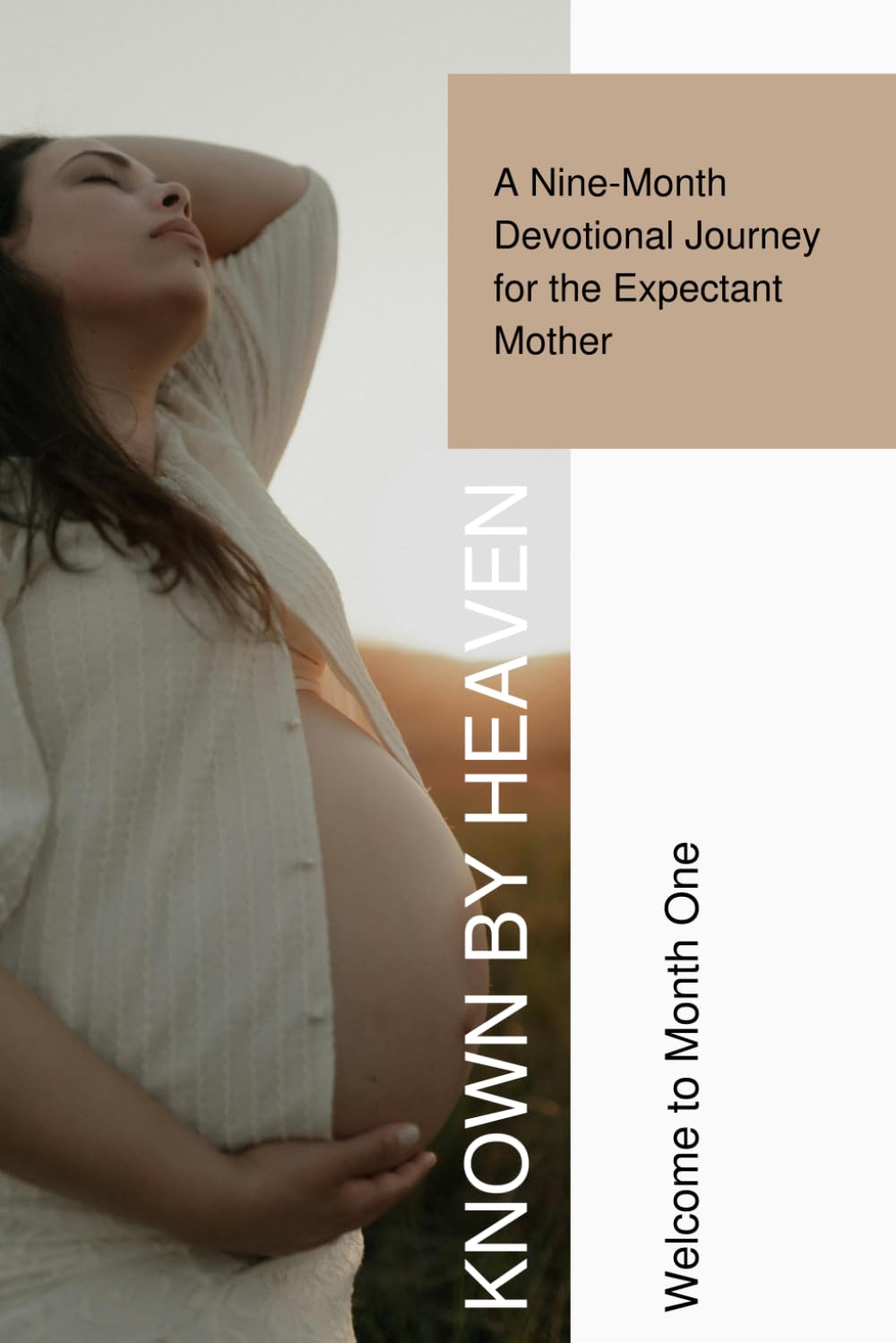 Known by Heaven: Month One of Pregnancy A 30 Day Devotional Journal with Daily Reflections, Prayers, and Activities for Expectant Mothers (Known by ... Devotional Journey for the Expectant Mother)