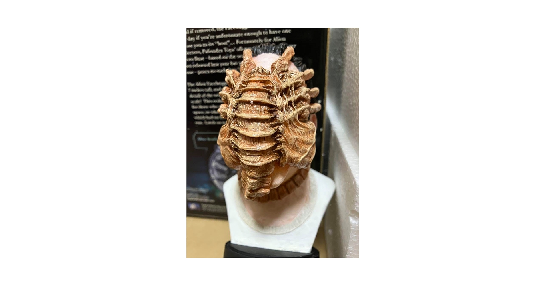 当時物　1/1スケール　フェイスハガー　バスト　エイリアン　パリセイズ　等身大 当時物 1/1スケール フェイスハガー バスト エイリアン