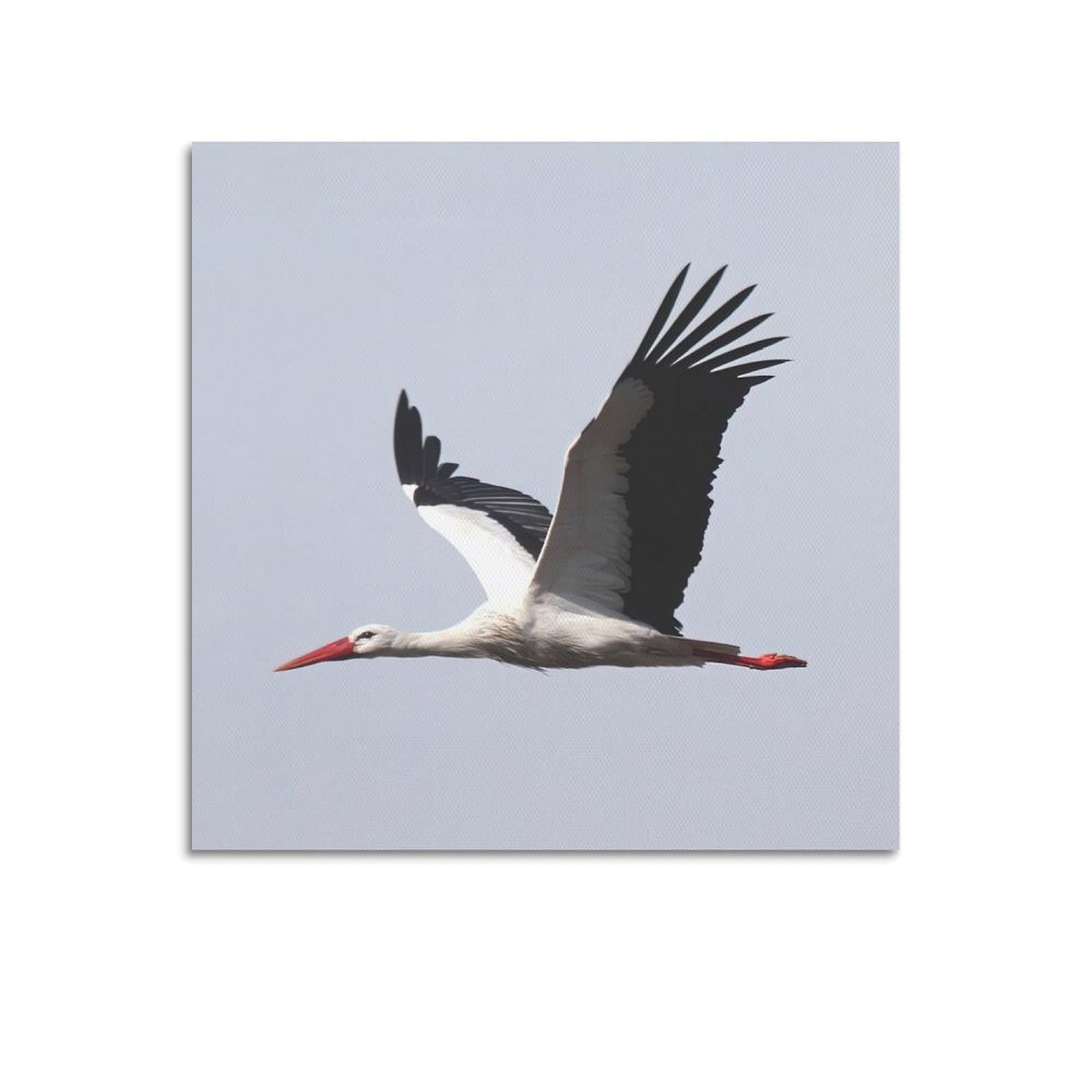 Animal Birds Poster White Stork in Flight Decorative Canvas Wall & Art Poster Painting 28x28inch(70x70cm)