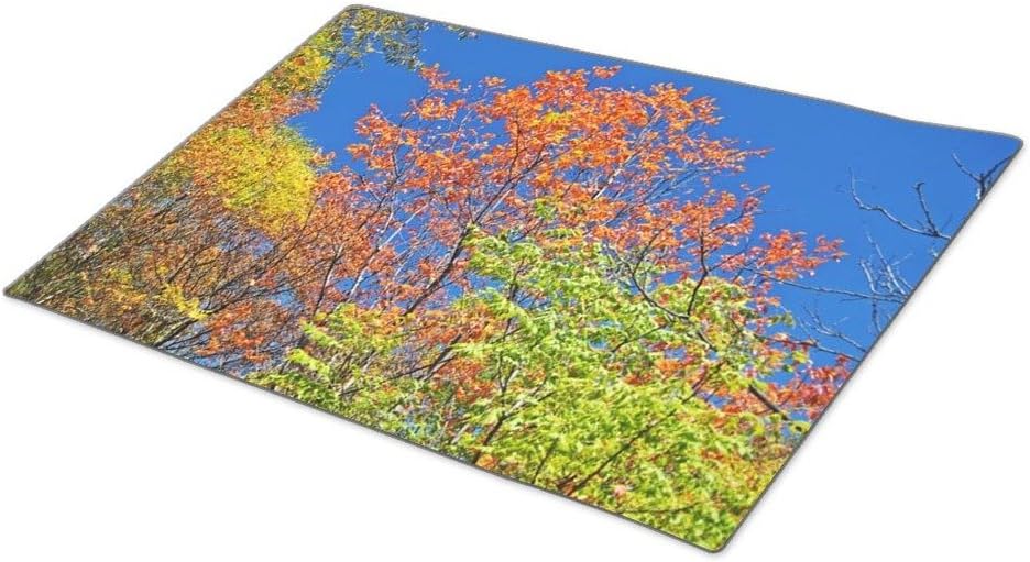 Herlena Colorful Foliage Decorative Door Mats Trees Next