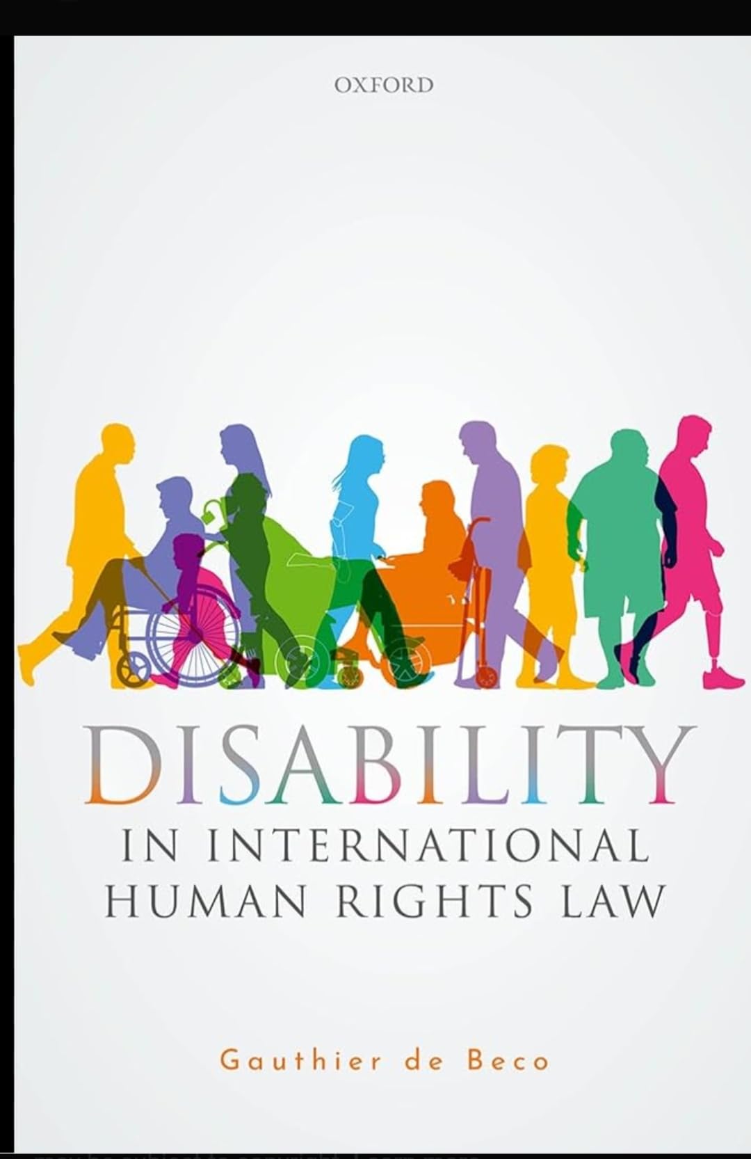 Buy Disability in International Human Rights Law — BookShops.in