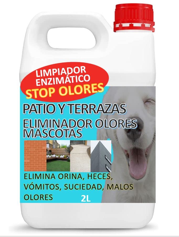 Cómo eliminar el olor a orina de perro para siempre Mundo Perros
