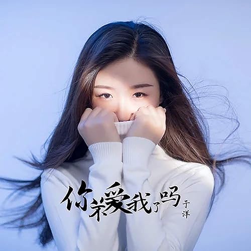 你不爱我了吗 Dj沈念版 By 于洋 On Amazon Music Amazon Com