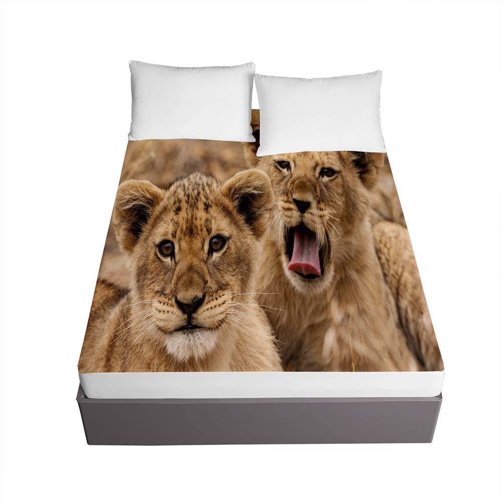 Drap housse lion 160x200cm infroissable et antidérapant