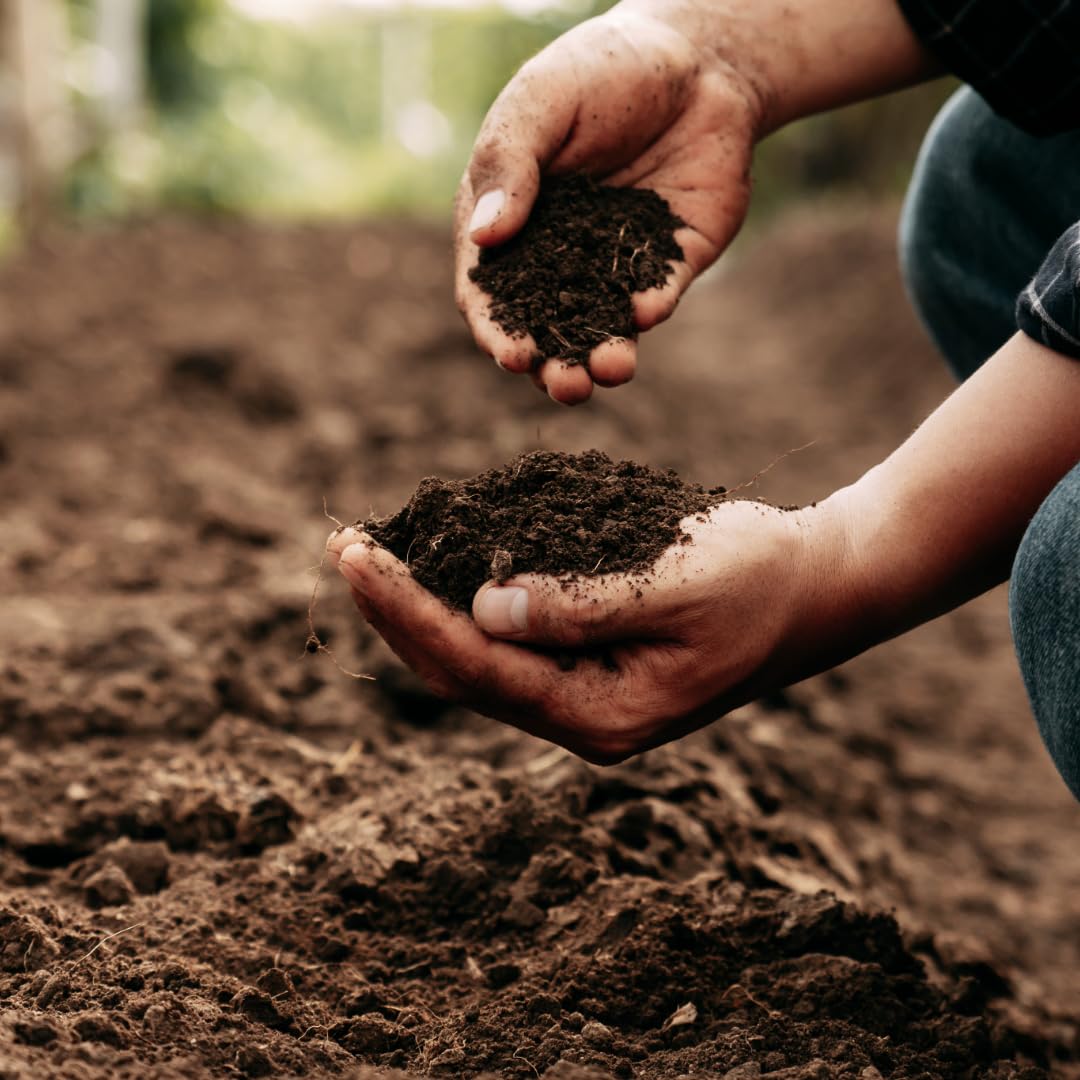 Sustrato Universal con Humus de lombriz y Compost Saco Big Bag 1m³-1000L - Ecocelta.Tierra abonada Ideal para Todo Tipo de Plantas. Apto en Agricultura ecológica.