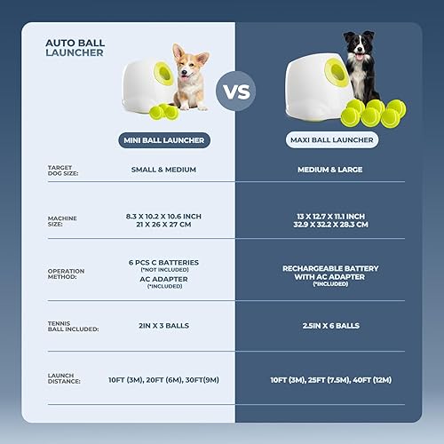 Miniatura 4 de ALL FOR PAWS Lanzador automático de bolas para perros, juguetes interactivos para perros, incluye 6 pelotas de tenis para perros grandes