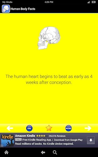 Human Body Facts: Fun Human Anatomy and Physiology Flash Cards app FREE! Learn about Bones, Muscles,