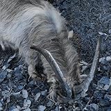 sony ericsson elm  334bpm hardfstyle sony ericson 2006 gangsta #77 #freakoff