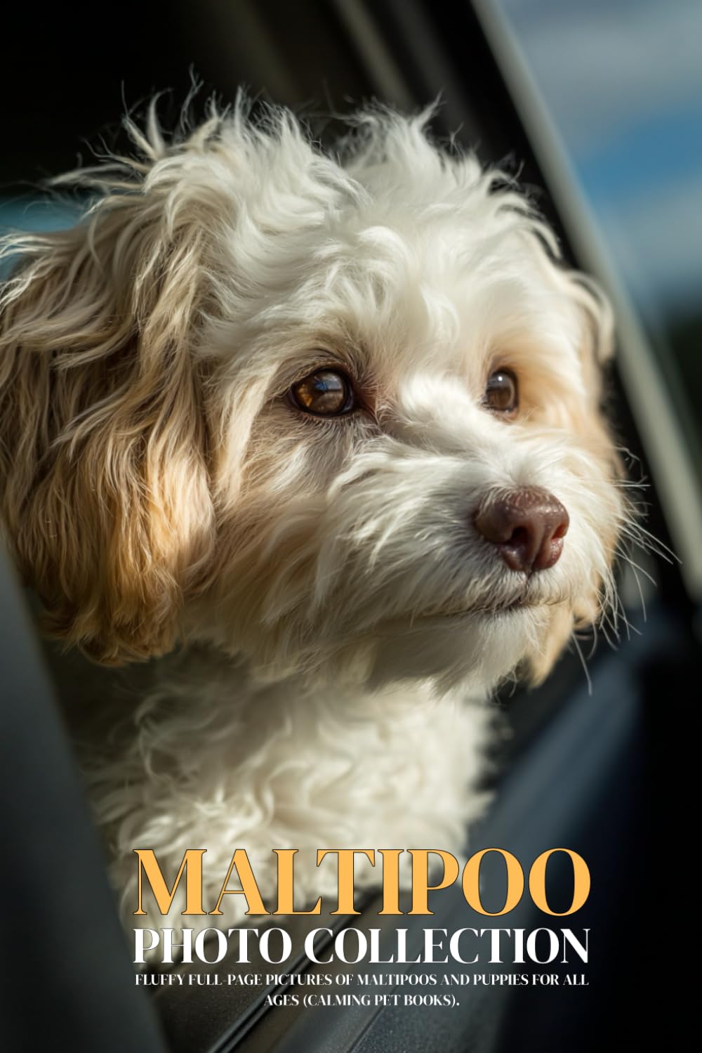 Maltipoo Photo Collection: Fluffy Full-Page Pictures of Maltipoos and Puppies for All Ages (Calming Pet Books).
