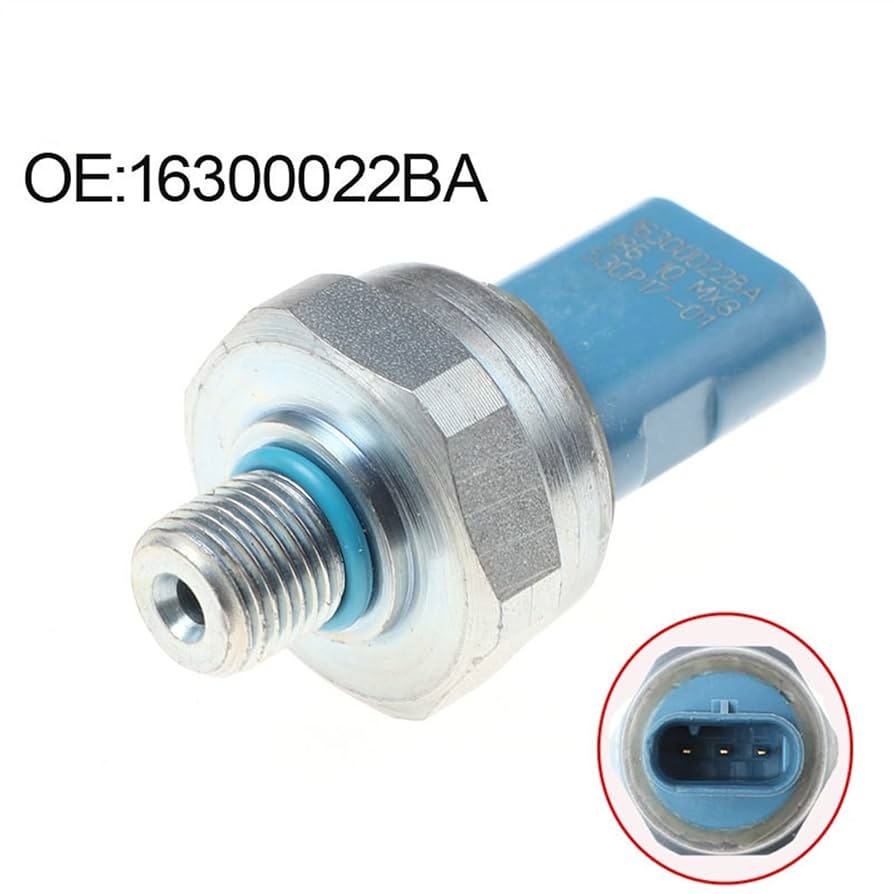 No.1 がま磯・RECEPTOR-R175-53 31ADoAacu2L.jpg_BO30,255,255,