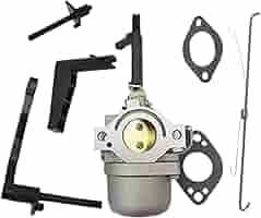 Carburetor Carb For Briggs&Stratton 591378 699966 697978 Snowblower Generator US In | Whizz Carburetors - Foto 5