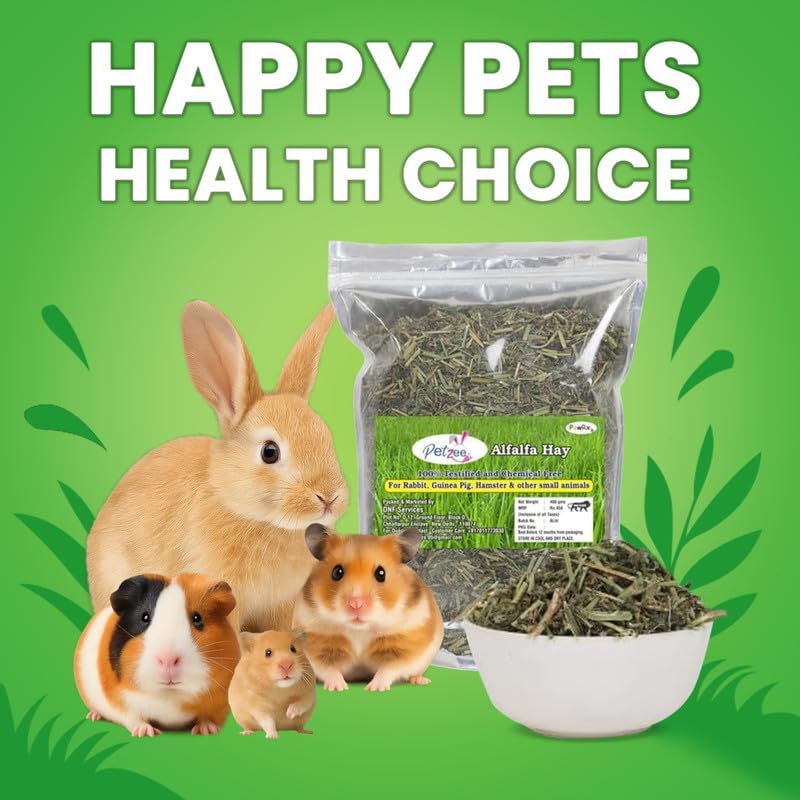 Image of Alfalfa Hay, Food for Rabbits, Guinea Pig, Hamsters and Other Small Animals (400 GMS)- Pack of 1
