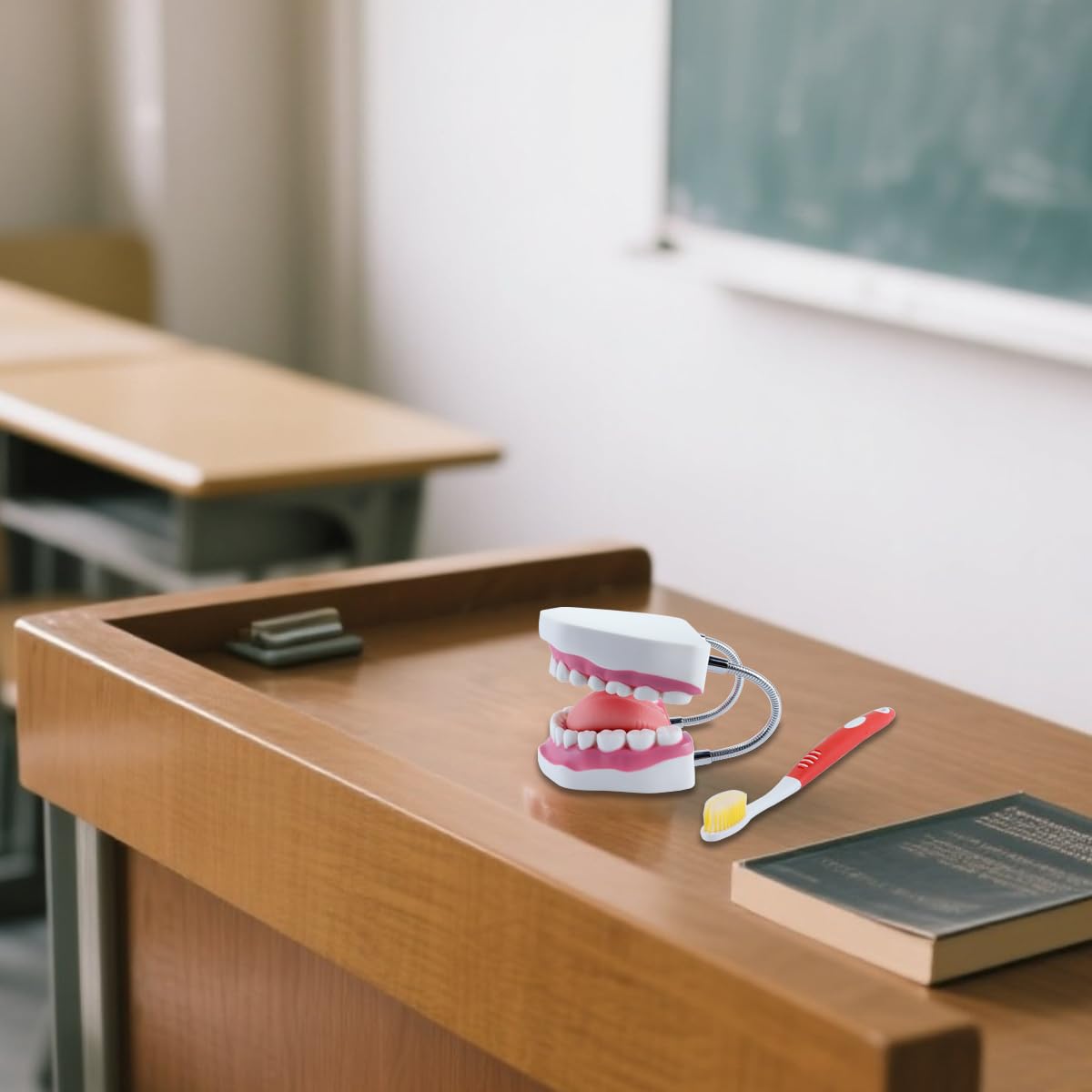 Model jamy ustnej 6x powiększony z ruchomym językiem i składanym stojakiem, realistyczne kolory do edukacji stomatologicznej