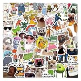 Adesivi meme per adulti, 110 adesivi divertenti per libri, laptop, impermeabili, in vinile, rimovibili, per diari, bottiglie d'acqua, scrapbooking