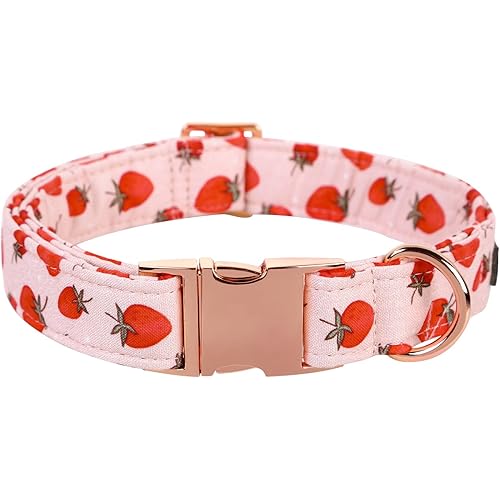 Lionet Paws Dog Collar, Comfortable Adjustable Cute Collar with Metal Buckle for Male Female Puppies and Cats Gift, Strawberry Pattern, XS, Neck 8-12 inches