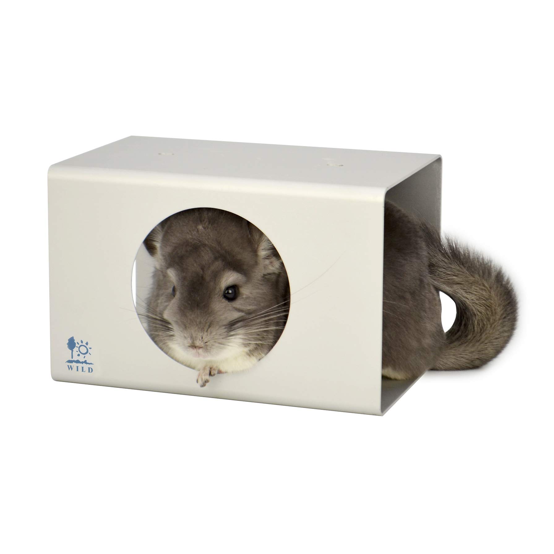 のびこ Amazon.co.jp: Nobu Company SG4476-SET Magic Cat Sumikko