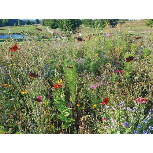 GEVO-Wildvogel-Futterwiese für 5 m² Cover