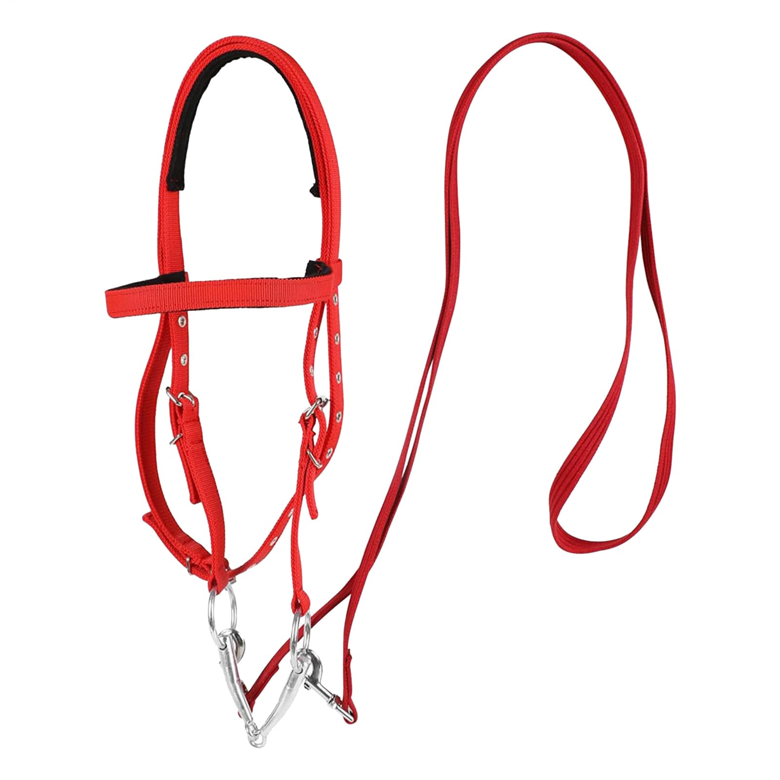 Generisch Zähne für, Kopfstall, Browband Kopfstall für, Einstellbarer bandband für Wanderfahrten, Reitspuren Reitreiten