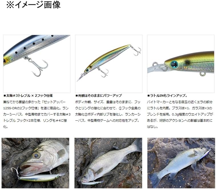 Daiwa LH125SDR Chivas Lure, Shoreline Shiner Z Set Upper