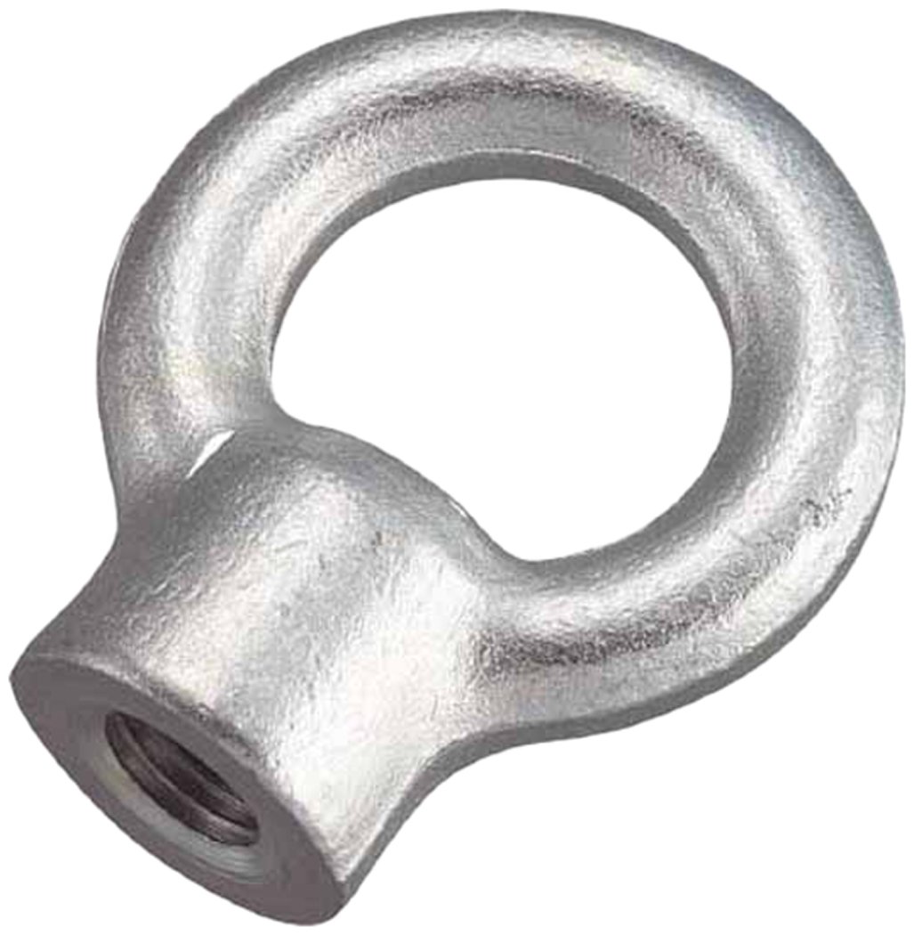 TRUSCO Steel Eye Nut TIN-12